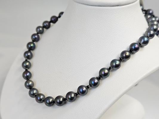 Black Pearl 16" Necklace SS W/Safety Chain