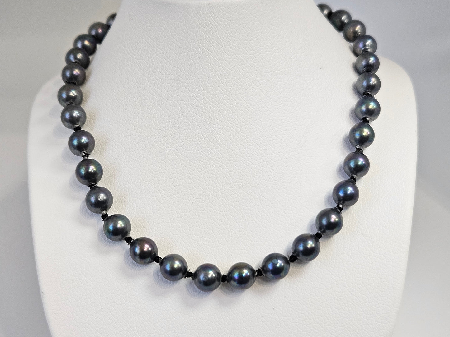 Black Pearl 16" Necklace SS W/Safety Chain