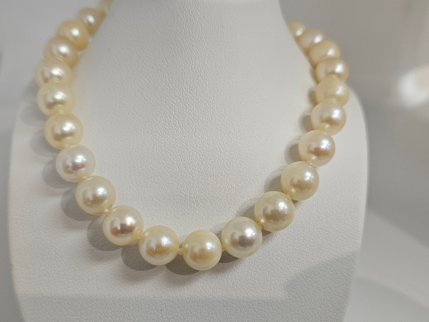 Pearl Necklace 14"cream SS clasp 7MM