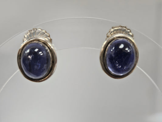 SS OV Purple Stone Post Back earring
