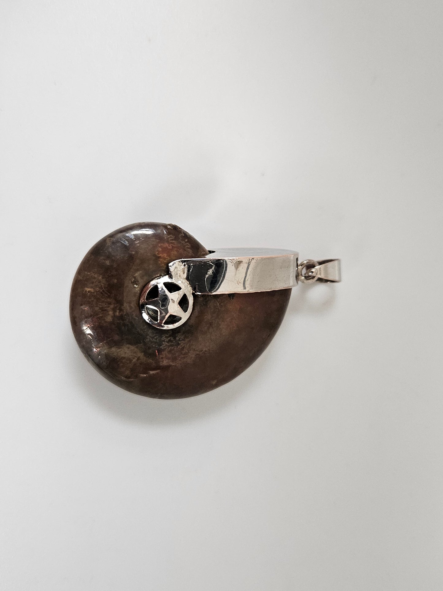 AMMONITE FOSSIL PENDANT SS/Copper SETTING AND BAIL