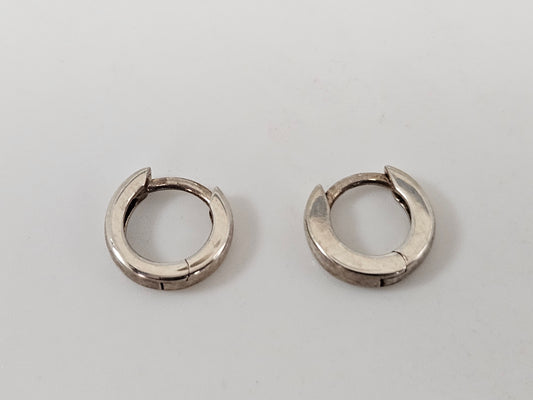 10MM SS Hinged Hoops