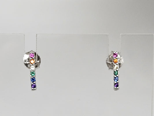 SS Rainbow Bar Stud Ear CZ & Clutch