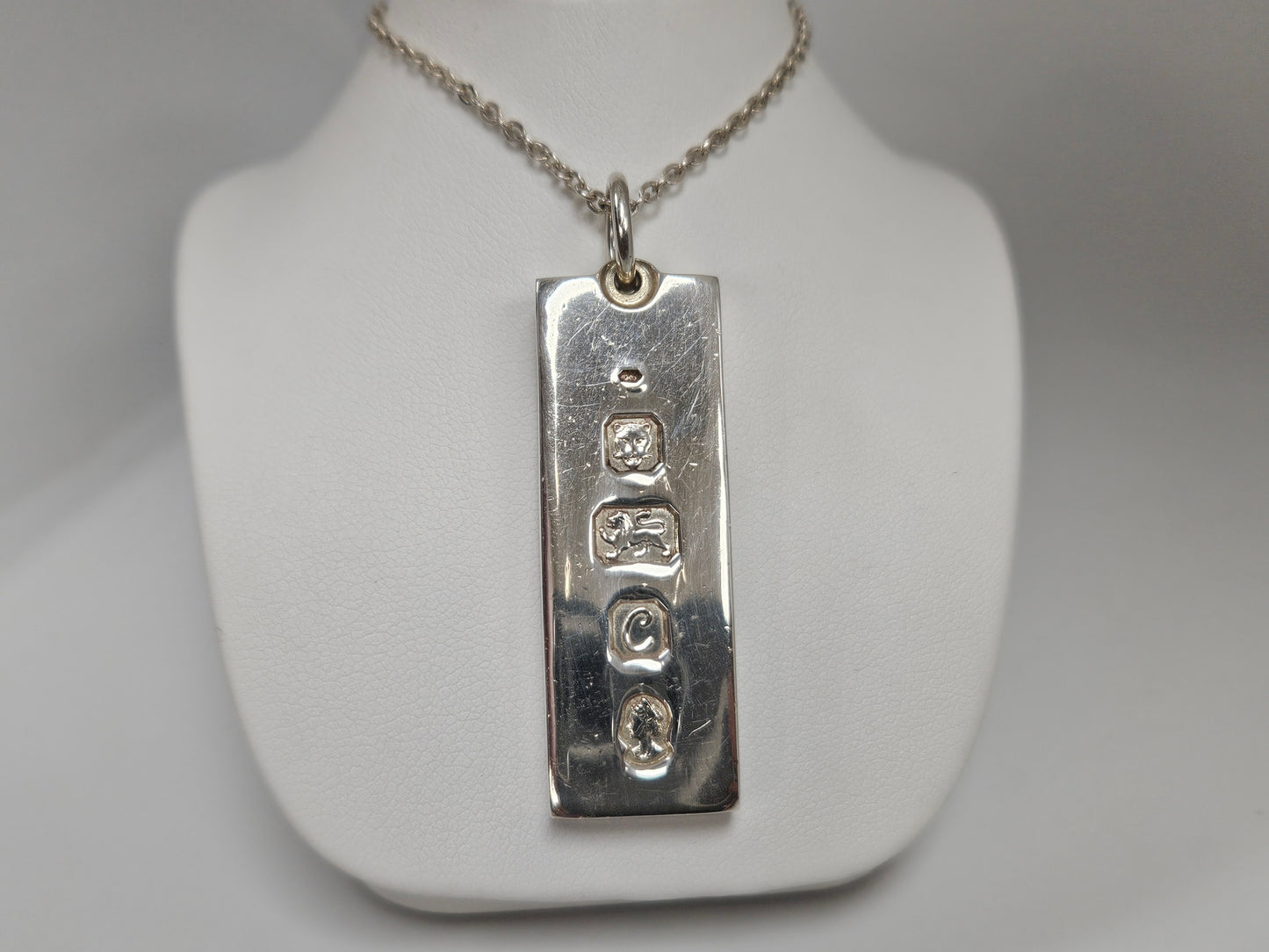 SS INGOT W/24" Cable Chain