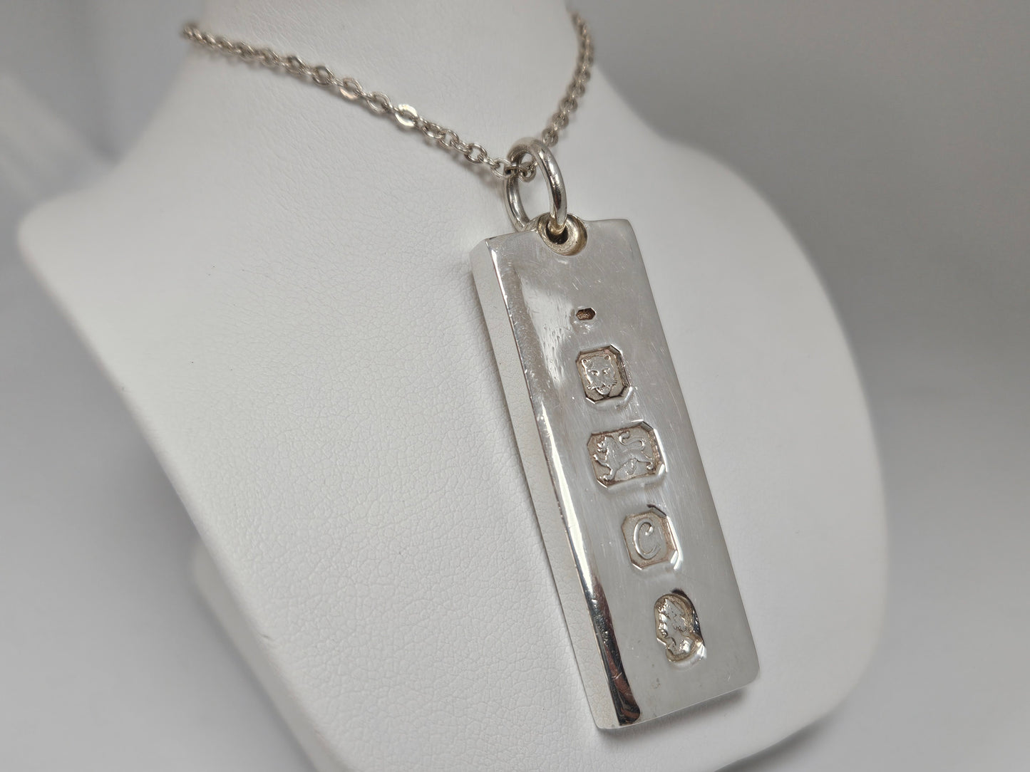 SS INGOT W/24" Cable Chain